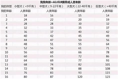 属狗的今年几岁|属狗的今年多大2024